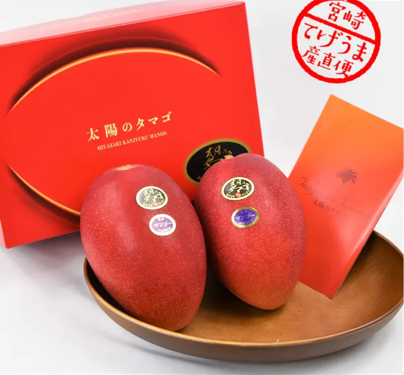 宮崎太陽之子芒果禮盒 1kg/盒10箱起售（可批發）