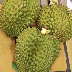 5/6 TP金枕 $926/件-5件起（可批發)